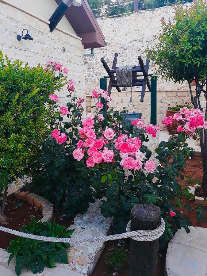 Lofou Traditional House Εξωτερικό φωτογραφία